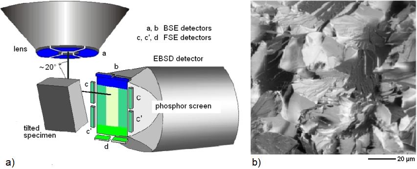 EBSD multiarray image detector